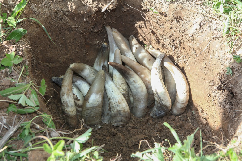 Demeter Präparate herstellen Fruehjahr 2015 Die Gärtnerei Berg